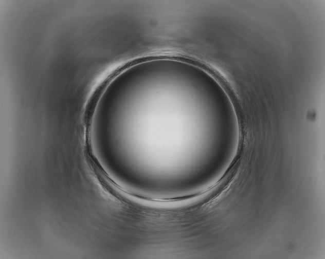 X0000090611414200707241056