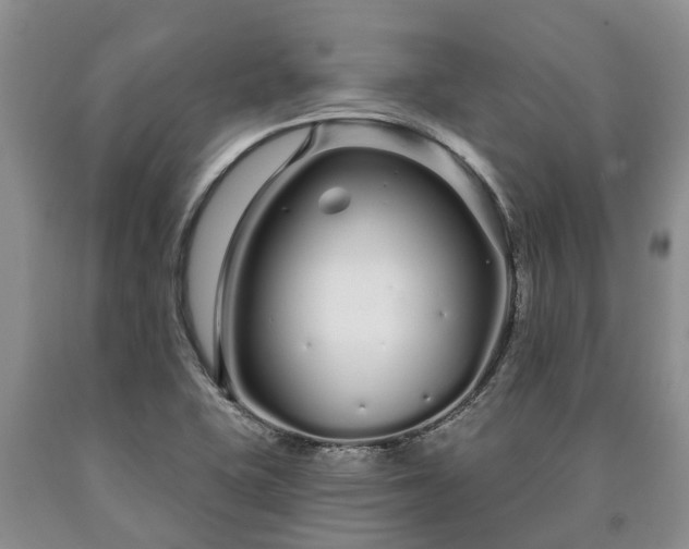 X0000090611415200707241056