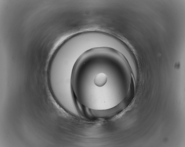 X0000090611416200707241056