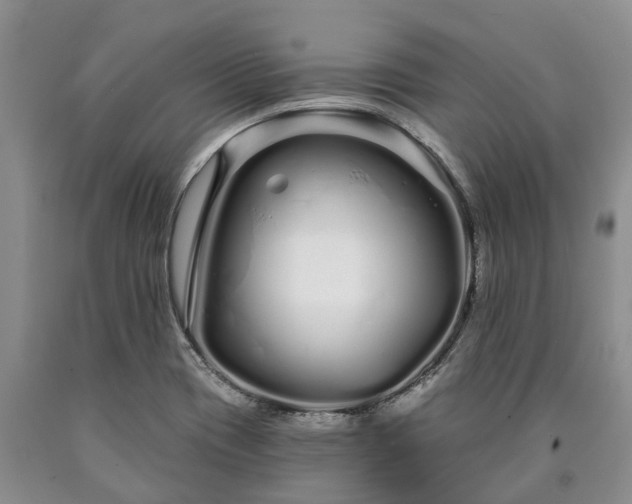 X0000090611417200707241056