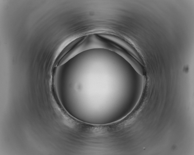 X0000090611418200707241056