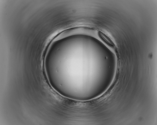 X0000090611419200707241056