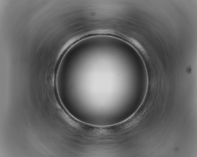 X0000090611420200707241056