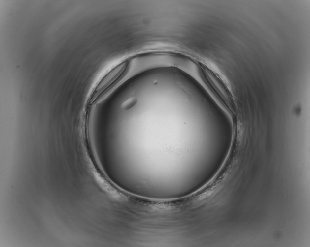 X0000090611421200707241056