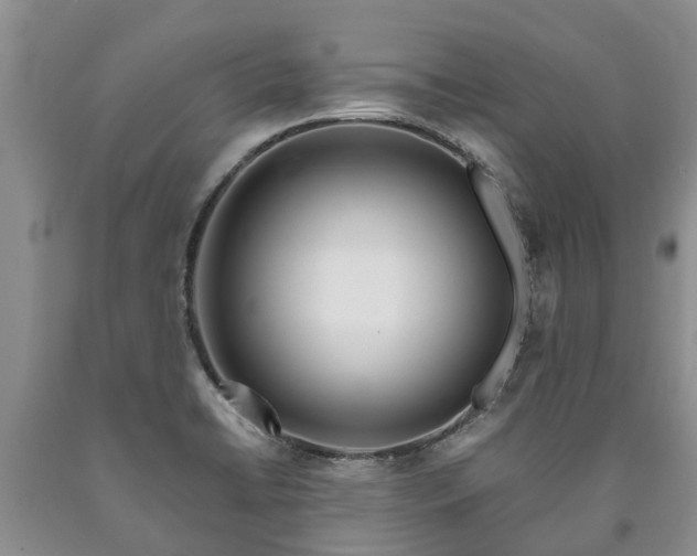 X0000090611422200707241056