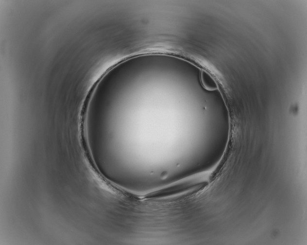 X0000090611423200707241056