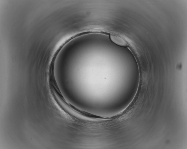 X0000090611424200707241056