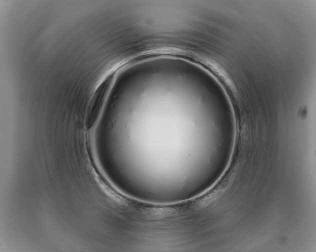 X0000090611425200707241056