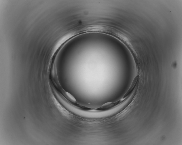 X0000090611426200707241056