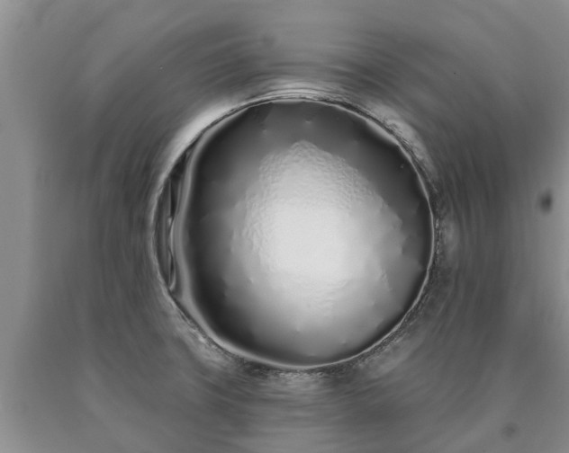 X0000090611427200707241056