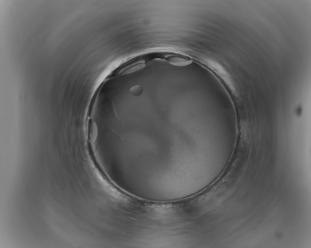 X0000090611428200707241056