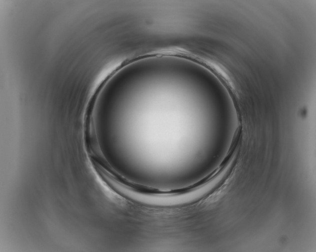 X0000090611430200707241056