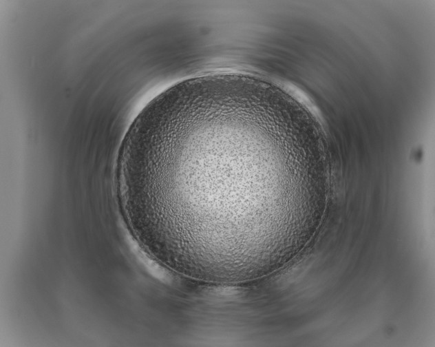 X0000090611431200707241056