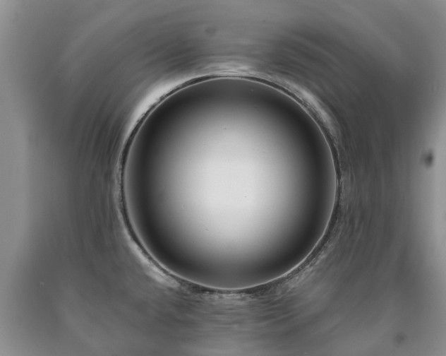 X0000090611432200707241056