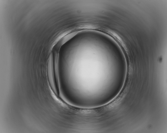 X0000090611433200707241056