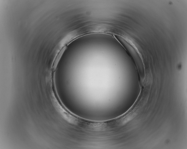 X0000090611434200707241056