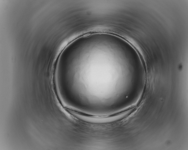 X0000090611437200707241056