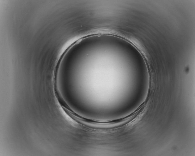 X0000090611438200707241056