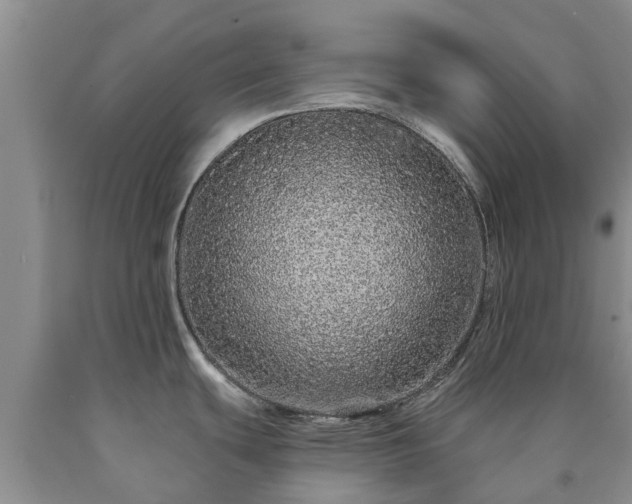 X0000090611439200707241056