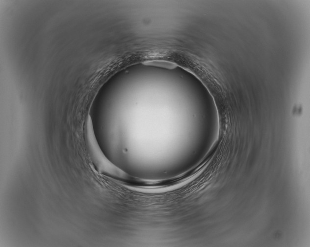 X0000090611441200707241056