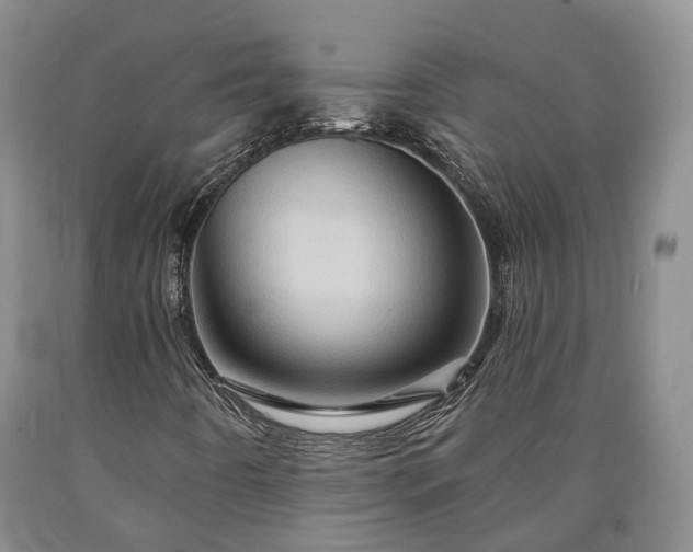 X0000090611442200707241056