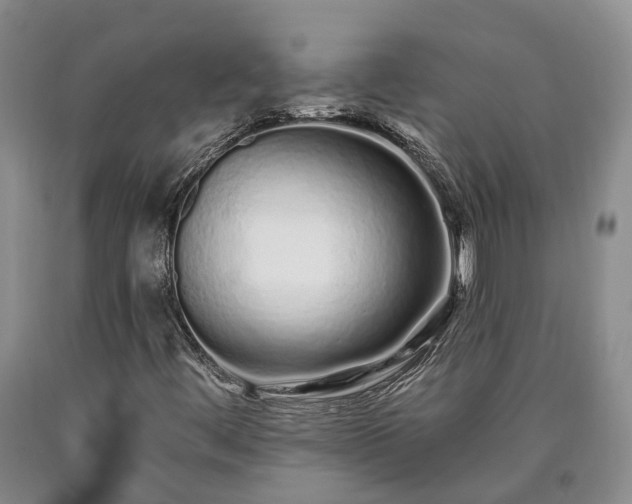 X0000090611444200707241056