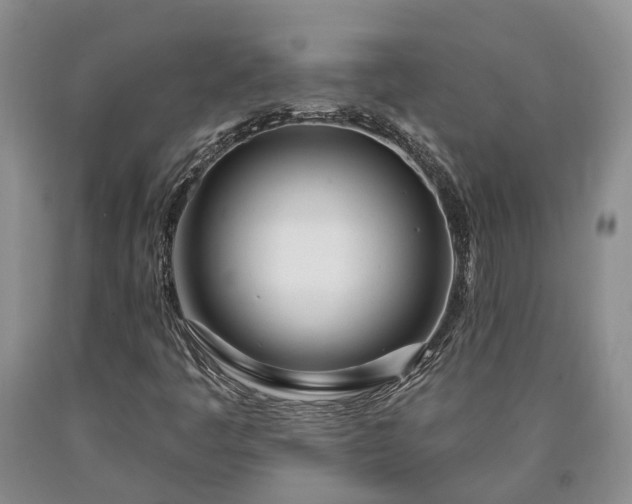 X0000090611445200707241056