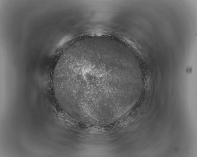 X0000090611446200707241056