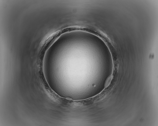 X0000090611448200707241056