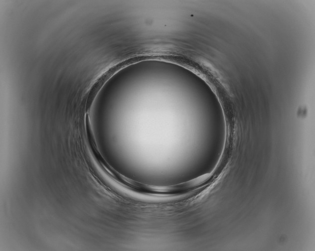 X0000090611449200707241056