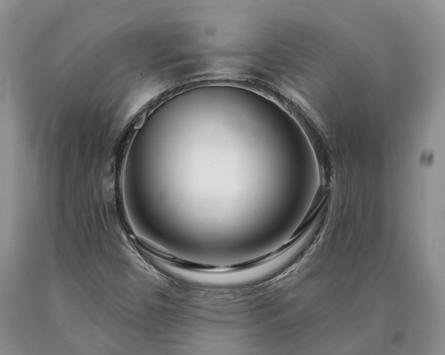 X0000090611450200707241056