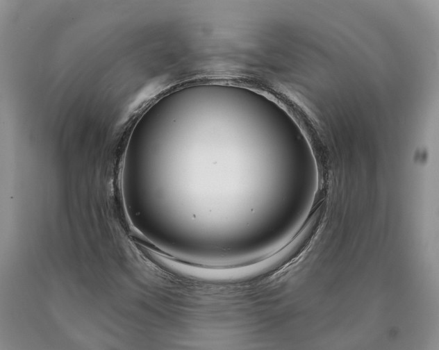 X0000090611451200707241056