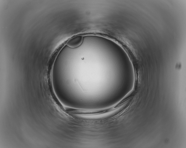 X0000090611452200707241056