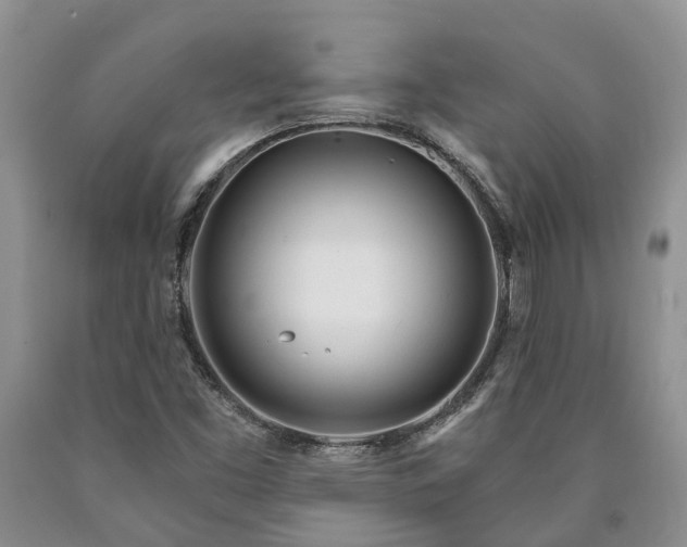 X0000090611453200707241056