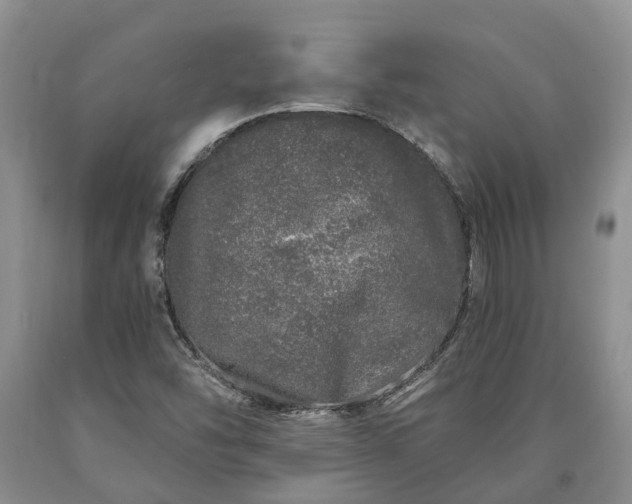 X0000090611454200707241056