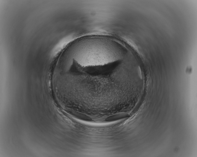 X0000090611455200707241056