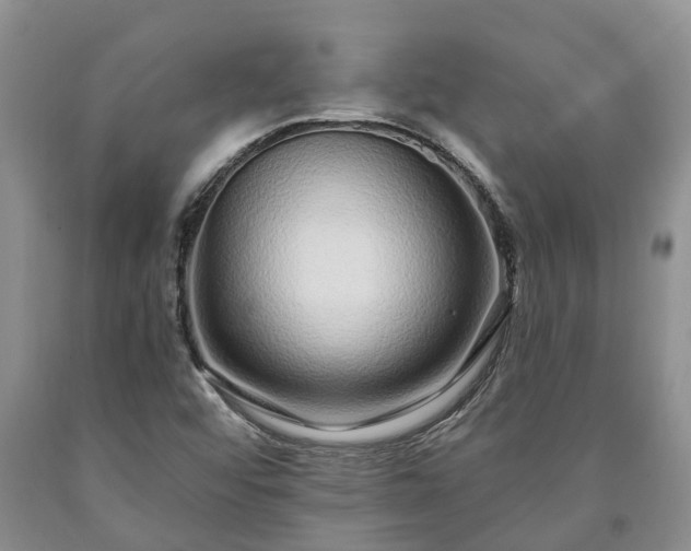 X0000090611456200707241056