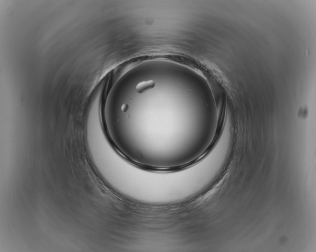 X0000090611457200707241056