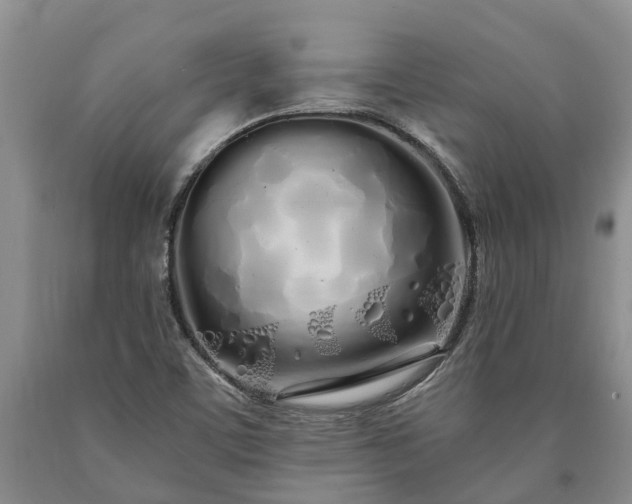 X0000090611459200707241056