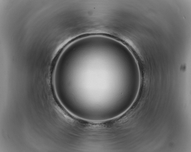 X0000090611460200707241056