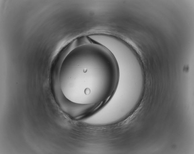 X0000090611461200707241056