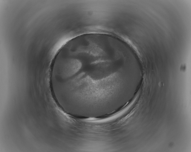 X0000090611463200707241056