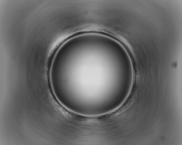 X0000090611464200707241056