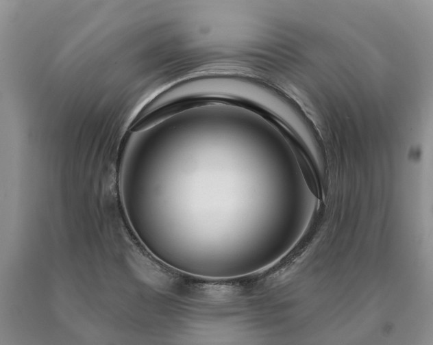 X0000090611465200707241056