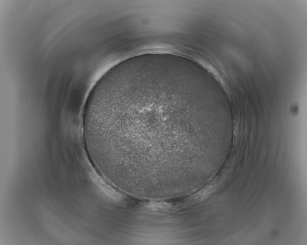 X0000090611466200707241055