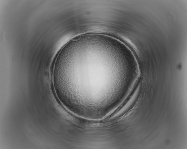 X0000090611467200707241055