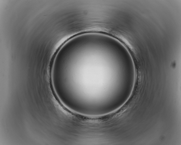 X0000090611468200707241055