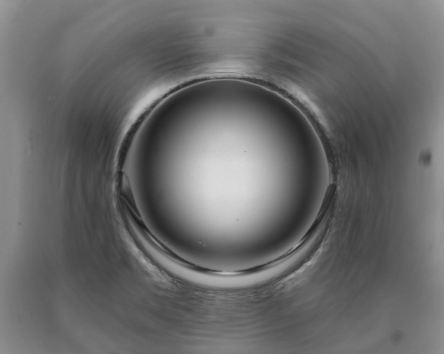 X0000090611469200707241055