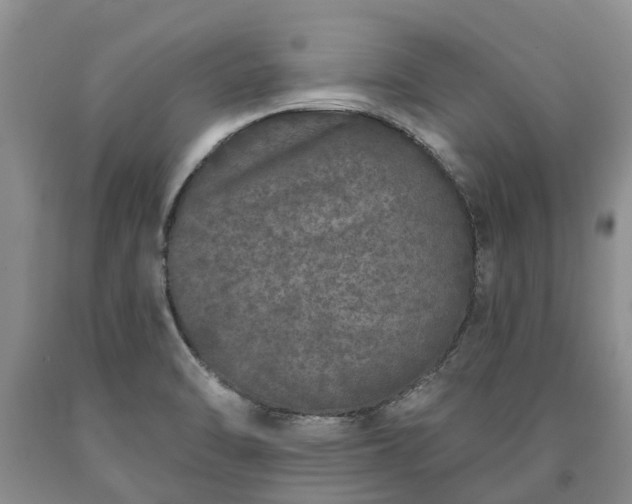 X0000090611470200707241055