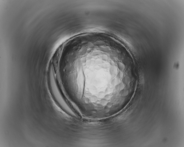 X0000090611471200707241055